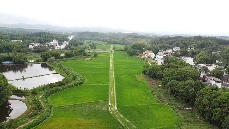 永修县2018年统筹整合资金推进高标准农